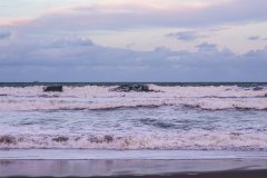 wildocean