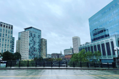 Buildings and Homes Gallery View form Providence Mall